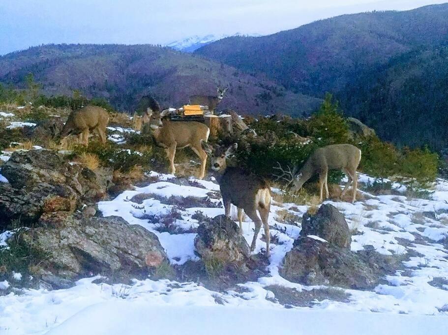 Secluded Luxury Mountain Retreat With Unrivaled Views Βίλα Tabernash Εξωτερικό φωτογραφία
